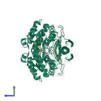 Homo dimeric assembly 1 of PDB entry 3oht coloured by chemically distinct molecules, side view.