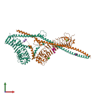 PDB entry 3oja coloured by chain, front view.