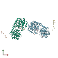 3D model of 3oka from PDBe