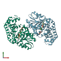 3D model of 3okf from PDBe