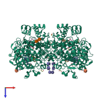 Homo dimeric assembly 1 of PDB entry 3olt coloured by chemically distinct molecules, top view.