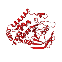 The deposited structure of PDB entry 3omh contains 4 copies of CATH domain 3.90.190.10 (Protein-Tyrosine Phosphatase; Chain A) in Tyrosine-protein phosphatase non-receptor type 22. Showing 1 copy in chain A.