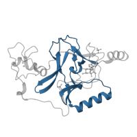 The deposited structure of PDB entry 3ooi contains 1 copy of Pfam domain PF00856 (SET domain) in Histone-lysine N-methyltransferase, H3 lysine-36 specific. Showing 1 copy in chain A.