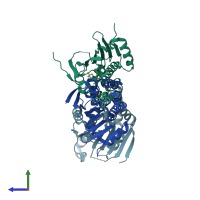 PDB entry 3opd coloured by chain, side view.