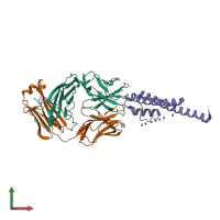 PDB entry 3or6 coloured by chain, front view.