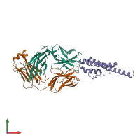 PDB entry 3or7 coloured by chain, front view.