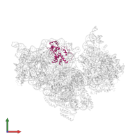 Small ribosomal subunit protein uS4 in PDB entry 3oto, assembly 1, front view.