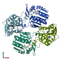 PDB entry 3ou6 coloured by chain, front view.