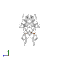 Spacer peptide 1 in PDB entry 3ouc, assembly 1, side view.