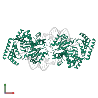 CCA-adding enzyme in PDB entry 3ova, assembly 1, front view.