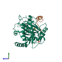 PDB entry 3p0m coloured by chain, side view.