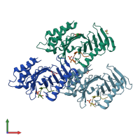 PDB entry 3p37 coloured by chain, front view.