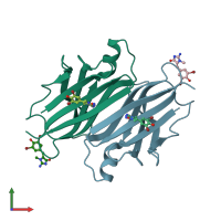 PDB entry 3p3s coloured by chain, front view.