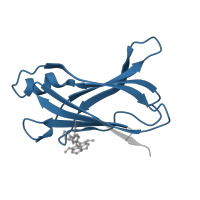 The deposited structure of PDB entry 3p3u contains 2 copies of Pfam domain PF00576 (HIUase/Transthyretin family) in Transthyretin. Showing 1 copy in chain A.