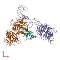 PDB 3p5c coloured by chain and viewed from the front.