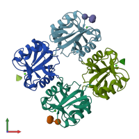 PDB entry 3p5g coloured by chain, front view.