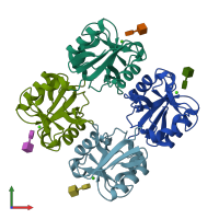PDB entry 3p5i coloured by chain, front view.