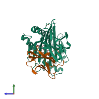 PDB entry 3p77 coloured by chain, side view.