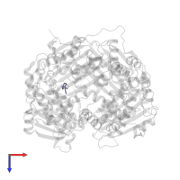 distal site bound peptide in PDB entry 3p7o, assembly 2, top view.
