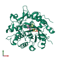 PDB entry 3p7y coloured by chain, front view.