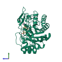 PDB entry 3p81 coloured by chain, side view.
