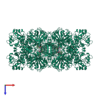 Homo tetrameric assembly 1 of PDB entry 3p9q coloured by chemically distinct molecules, top view.