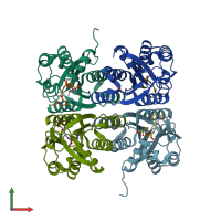 PDB entry 3p9y coloured by chain, front view.