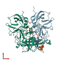 PDB entry 3pa2 coloured by chain, front view.