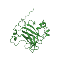 The deposited structure of PDB entry 3pca contains 6 copies of SCOP domain 49483 (Aromatic compound dioxygenase) in Protocatechuate 3,4-dioxygenase alpha chain. Showing 1 copy in chain A.