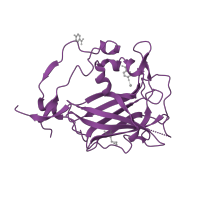 The deposited structure of PDB entry 3pcc contains 6 copies of CATH domain 2.60.130.10 (Protocatechuate 3,4-Dioxygenase, subunit A) in Protocatechuate 3,4-dioxygenase beta chain. Showing 1 copy in chain B [auth M].