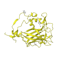 The deposited structure of PDB entry 3pcc contains 6 copies of SCOP domain 49483 (Aromatic compound dioxygenase) in Protocatechuate 3,4-dioxygenase beta chain. Showing 1 copy in chain B [auth M].