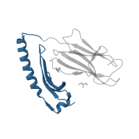 The deposited structure of PDB entry 3pdo contains 1 copy of CATH domain 3.10.320.10 (Class II Histocompatibility Antigen, M Beta Chain; Chain B, domain 1) in HLA class II histocompatibility antigen, DR alpha chain. Showing 1 copy in chain A.