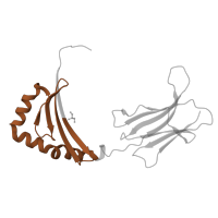 The deposited structure of PDB entry 3pdo contains 1 copy of Pfam domain PF00969 (Class II histocompatibility antigen, beta domain) in HLA class II histocompatibility antigen, DRB1 beta chain. Showing 1 copy in chain B.