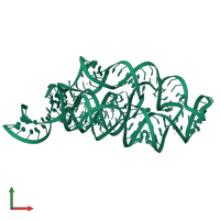 M-box Riboswitch RNA in PDB entry 3pdr, assembly 1, front view.