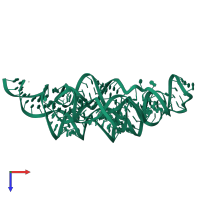 M-box Riboswitch RNA in PDB entry 3pdr, assembly 1, top view.