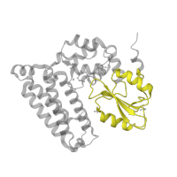 The deposited structure of PDB entry 3pfv contains 2 copies of Pfam domain PF02762 (CBL proto-oncogene N-terminus, SH2-like domain) in E3 ubiquitin-protein ligase CBL-B. Showing 1 copy in chain B.