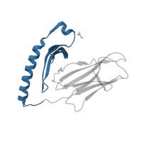 The deposited structure of PDB entry 3pgc contains 2 copies of CATH domain 3.10.320.10 (Class II Histocompatibility Antigen, M Beta Chain; Chain B, domain 1) in HLA class II histocompatibility antigen, DR alpha chain. Showing 1 copy in chain D.