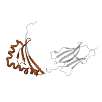 The deposited structure of PDB entry 3pgc contains 2 copies of Pfam domain PF00969 (Class II histocompatibility antigen, beta domain) in HLA class II histocompatibility antigen, DRB1 beta chain. Showing 1 copy in chain B.