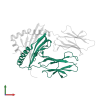 HLA class II histocompatibility antigen, DR alpha chain in PDB entry 3pgc, assembly 2, front view.