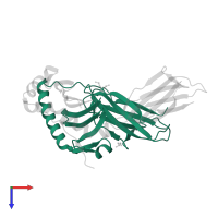 HLA class II histocompatibility antigen, DR alpha chain in PDB entry 3pgc, assembly 2, top view.