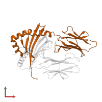 HLA class II histocompatibility antigen, DRB1 beta chain in PDB entry 3pgc, assembly 2, front view.