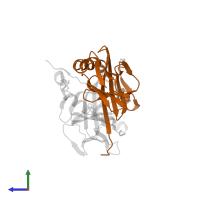 HLA class II histocompatibility antigen, DRB1 beta chain in PDB entry 3pgc, assembly 2, side view.