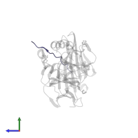 Class-II-associated invariant chain peptide in PDB entry 3pgc, assembly 2, side view.