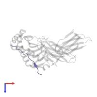 Class-II-associated invariant chain peptide in PDB entry 3pgc, assembly 2, top view.