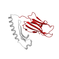 The deposited structure of PDB entry 3pgd contains 2 copies of CATH domain 2.60.40.10 (Immunoglobulin-like) in HLA class II histocompatibility antigen, DR alpha chain. Showing 1 copy in chain D.