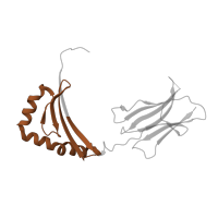 The deposited structure of PDB entry 3pgd contains 2 copies of Pfam domain PF00969 (Class II histocompatibility antigen, beta domain) in HLA class II histocompatibility antigen, DRB1 beta chain. Showing 1 copy in chain B.