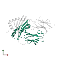 HLA class II histocompatibility antigen, DR alpha chain in PDB entry 3pgd, assembly 1, front view.