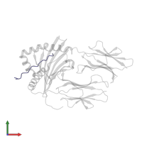 Class-II-associated invariant chain peptide in PDB entry 3pgd, assembly 1, front view.