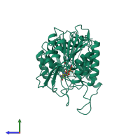 PDB entry 3pgk coloured by chain, side view.