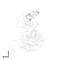 U1 small nuclear ribonucleoprotein A in PDB entry 3pgw, assembly 1, side view.